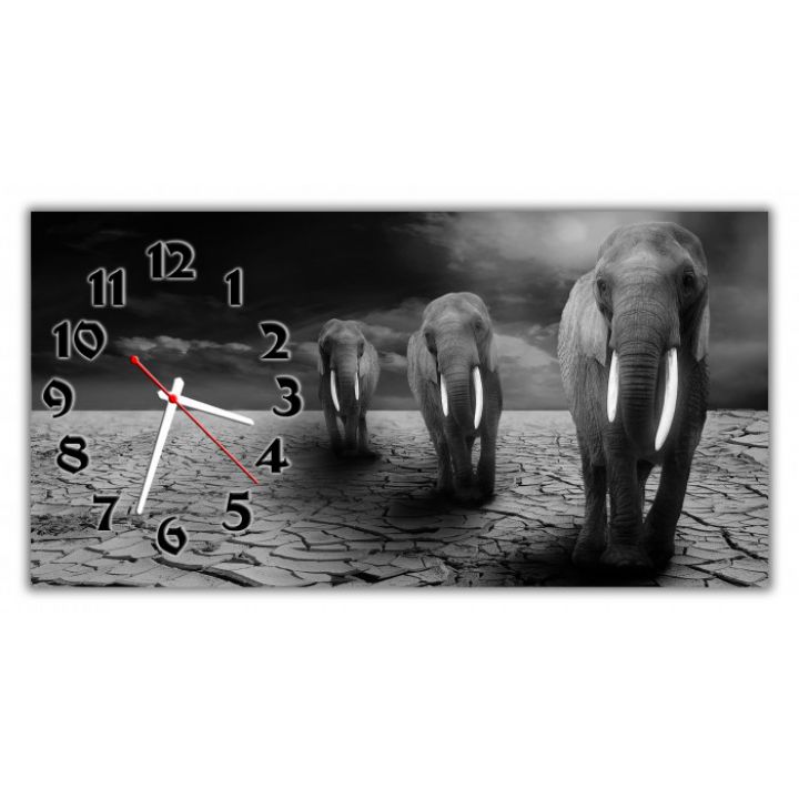 Настенные часы Слоны 69019, 30х60 см