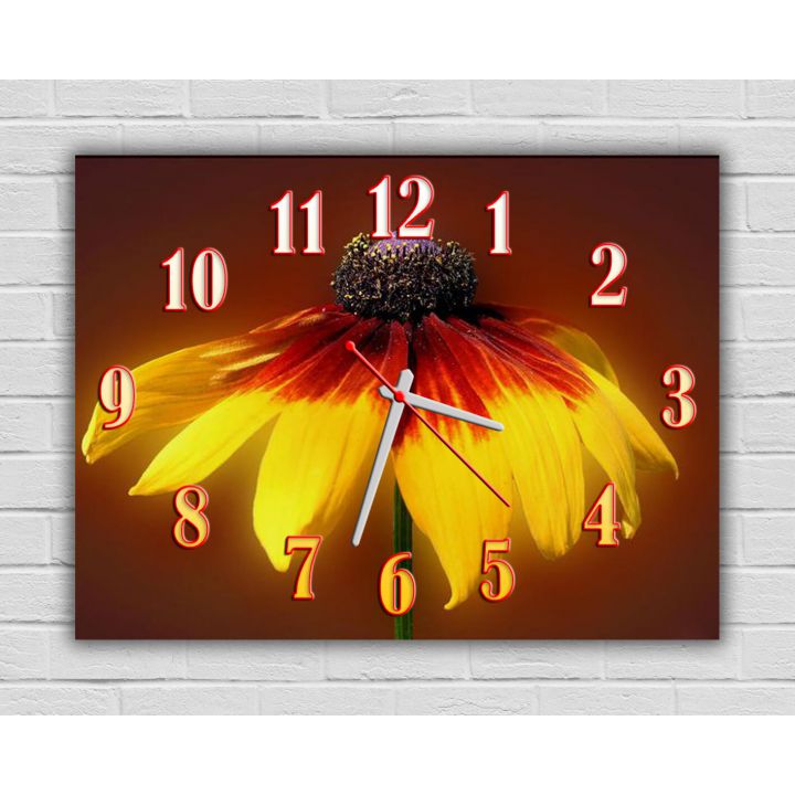 Настенные часы на кухню 74098, 30х40 см, Цветы