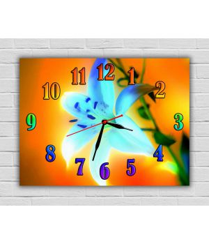 Детские настенные часы Сказочный Цветок, 30x40 см