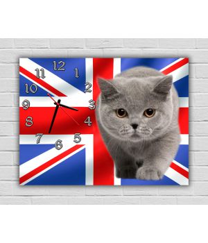 Детские настенные часы British Cat, 30x40 см