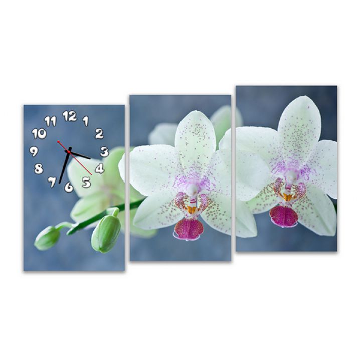 Модульные настенные часы Цветки орхидеи