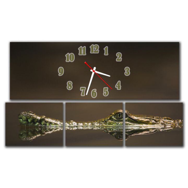 Модульний настінний годинник Крокодил M39