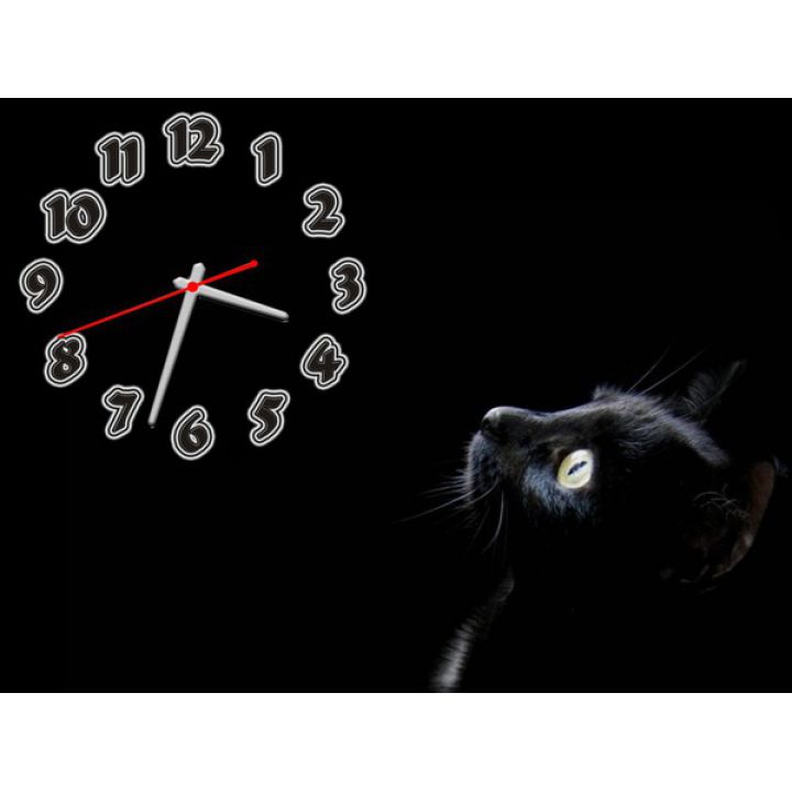 Годинник Чорна Кішка, 30х40 см