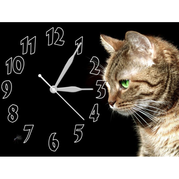 Годинник Загадкова Кішка, 30х40 см