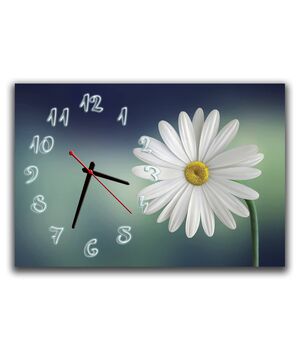 Настенные часы Блеск ромашки, 30х45 см
