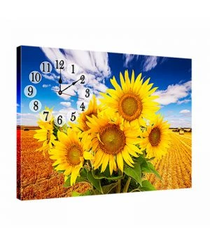Часы картина на кухню необычные dkr354289, 53х72 см