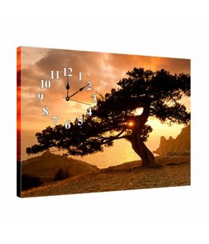 Красивые настенные часы зальные dkr354552, 53х72 см