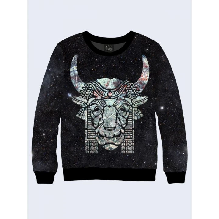 Жіночий світшот Stone bull