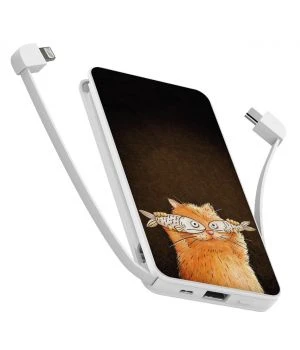 10000 mAh Повербанк украинского производства Powerbank Котофей