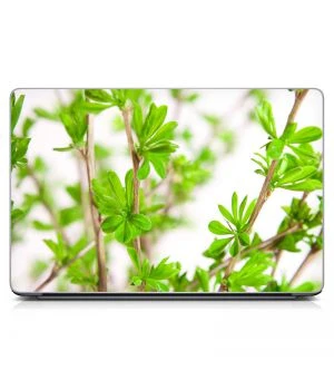 Универсальная наклейка на ноутбук 15.6"-13.3" Plants Матовая 380х250 мм