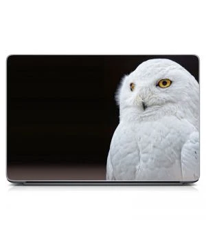 Наклейка на ноутбук - White Owl