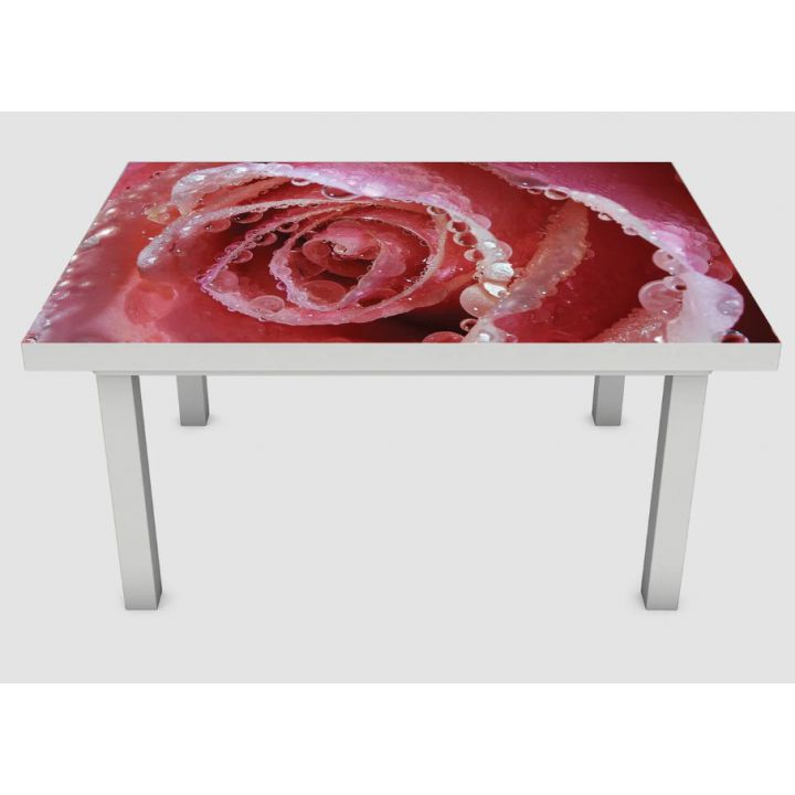 Наклейка на стол Нежная роза 01, 60х120 см