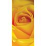 Наклейка на стол Желтая роза, 60х120 см