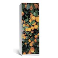 Наклейка на холодильник Цитрус 01 650х2000 мм