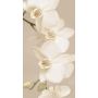 Наклейка на стол Орхидея беж 02, 60х120 см