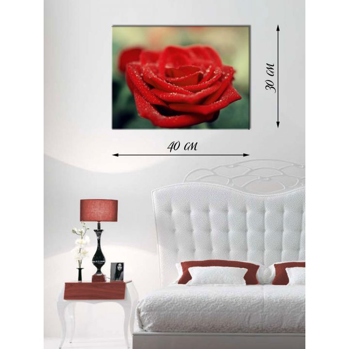 Картина на холсте 30х40 Красная роза