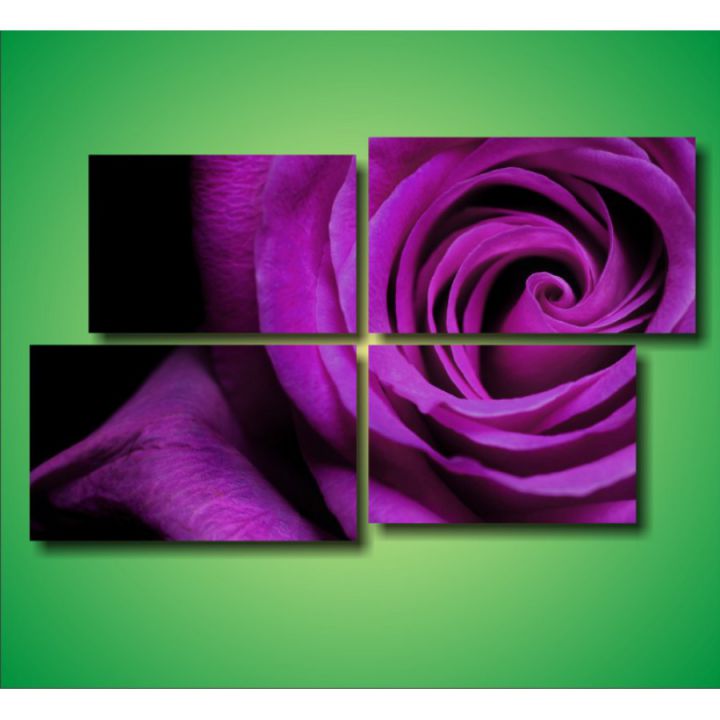 Модульна картина Фіолетова троянда