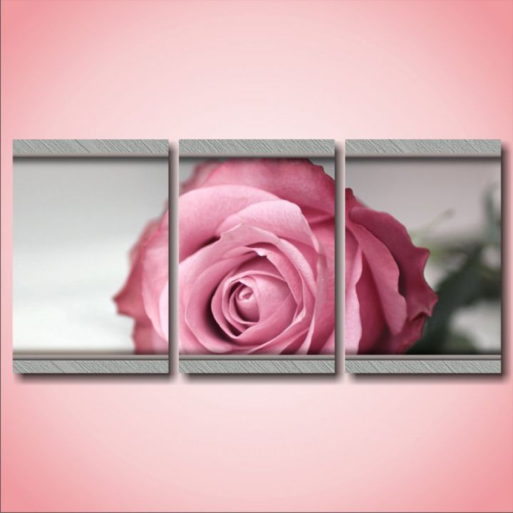 Модульна картина Одна рожева троянда