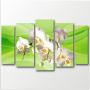 Модульна картина Білі орхідеї на зеленому фоні