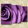 Модульные картины триптих Фиолетовая роза в интерьере