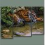 Модульная картина Тигр в реке