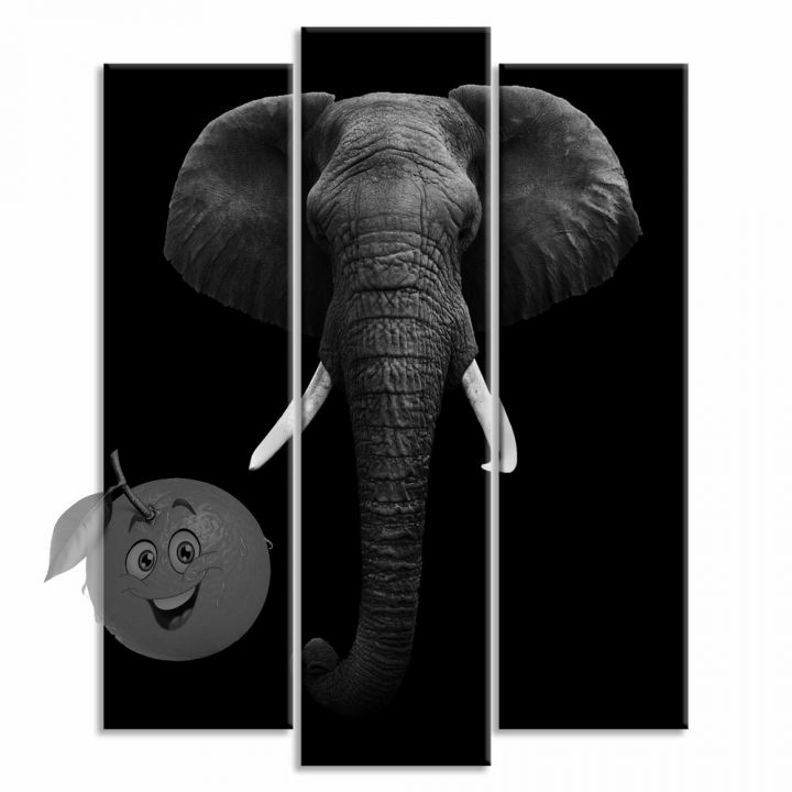 Модульная Картина Черно-белый слон