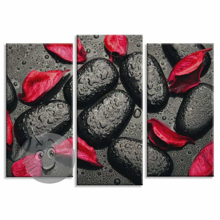 Модульна Картина Чорні камені з червоними пелюстками