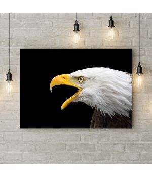 Картина на холсте Кричащий орел, 50х35 см