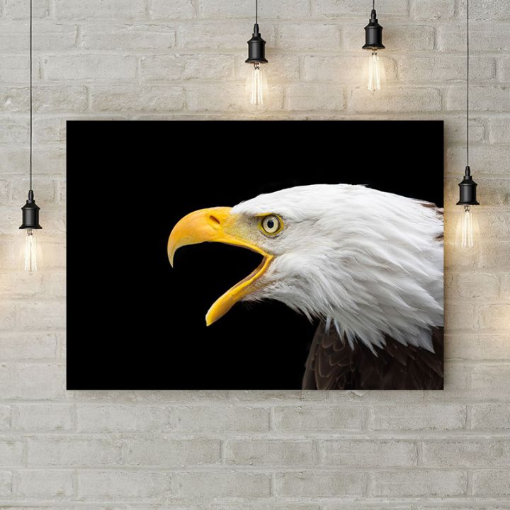 Картина на холсте Кричащий орел, 50х35 см