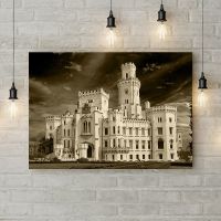 Картина на холсте Замок Глубока, 50х35 см