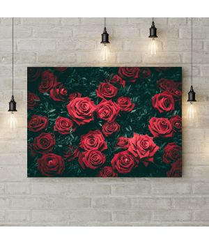 Картина на холсте Полотно роз, 50х35 см