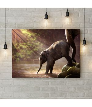 Картина на холсте Слоны на водопое, 50х35 см