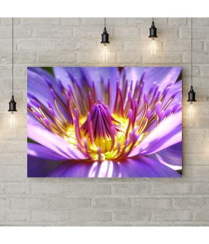Картина на холсте Желто-фиолетовый цветок, 50х35 см