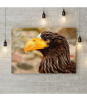 Картина на холсте Морской орел, 50х35 см
