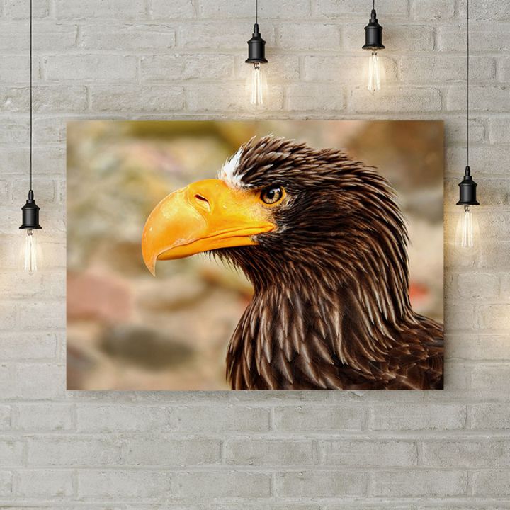 Картина на холсте Морской орел, 50х35 см