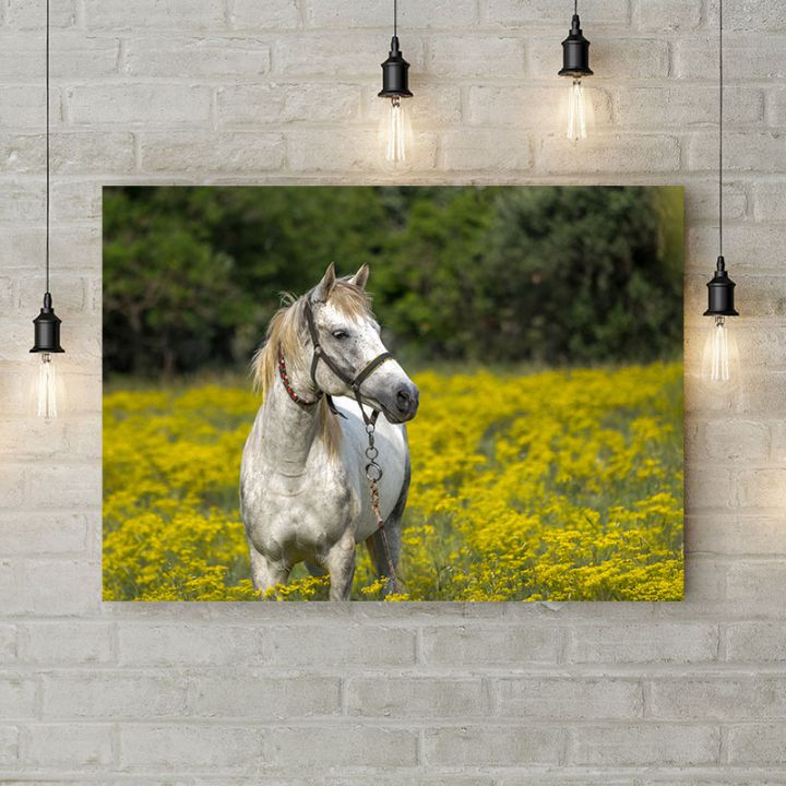 Картина на холсте Конь в цветочном поле, 50х35 см