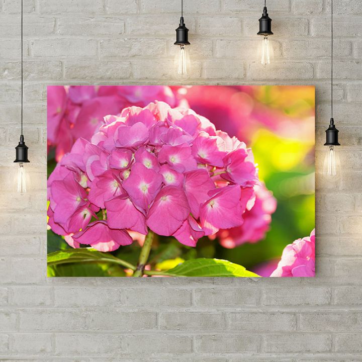 Картина на холсте Розовая гортензия, 50х35 см