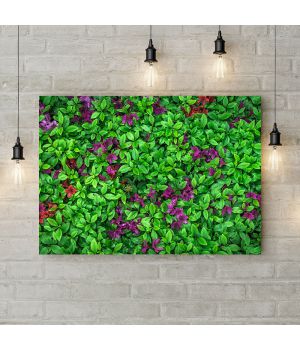 Картина на холсте Фон из зеленых цветов 5, 50х35 см