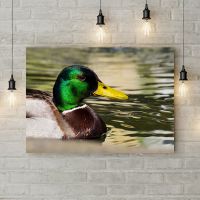 Картина на полотні Качка, 50х35 см