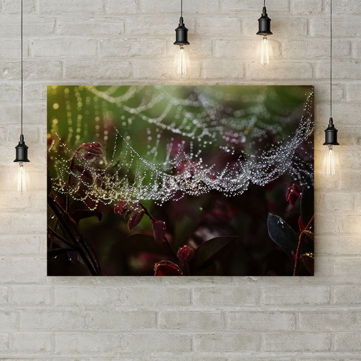 Картина на холсте Роса на паутине, 50х35 см