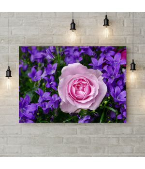 Картина на холсте Розовая роза 5, 50х35 см