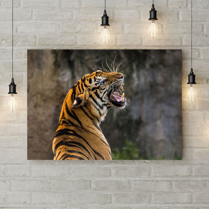Картина на холсте Тигр скалит зубы, 50х35 см