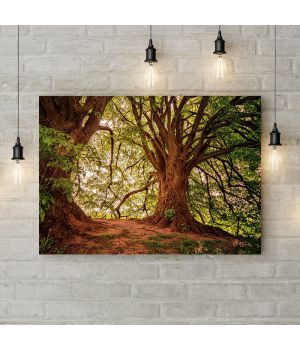 Картина на холсте Дерево-великан, 50х35 см