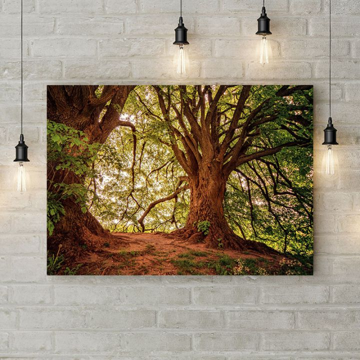 Картина на холсте Дерево-великан, 50х35 см