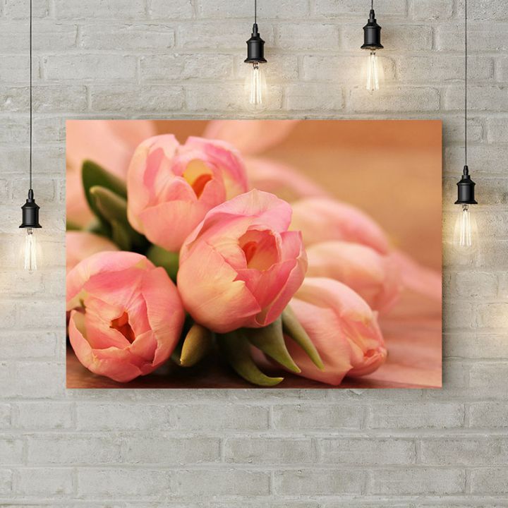 Картина на холсте Розовые тюльпаны, 50х35 см