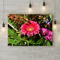 Картина на полотні Gerbera, 50х35 см