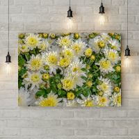 Картина на полотні Білі хризантеми, 50х35 см