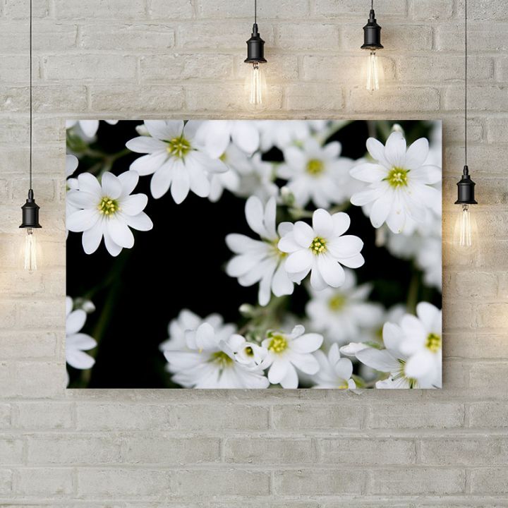Картина на полотні Білі квіти, 50х35 см