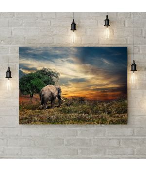 Картина на холсте Слон уходит в закат, 50х35 см