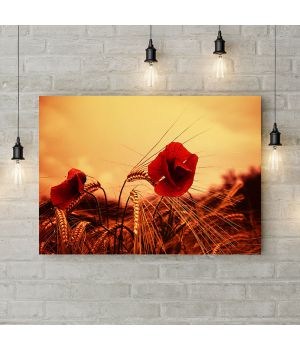 Картина на холсте Маки в поле с пшеницей, 50х35 см